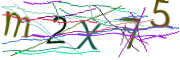 图像验证码