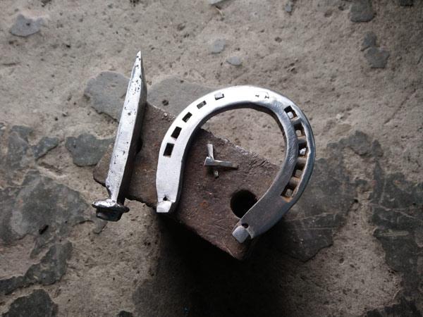 horseshoe image