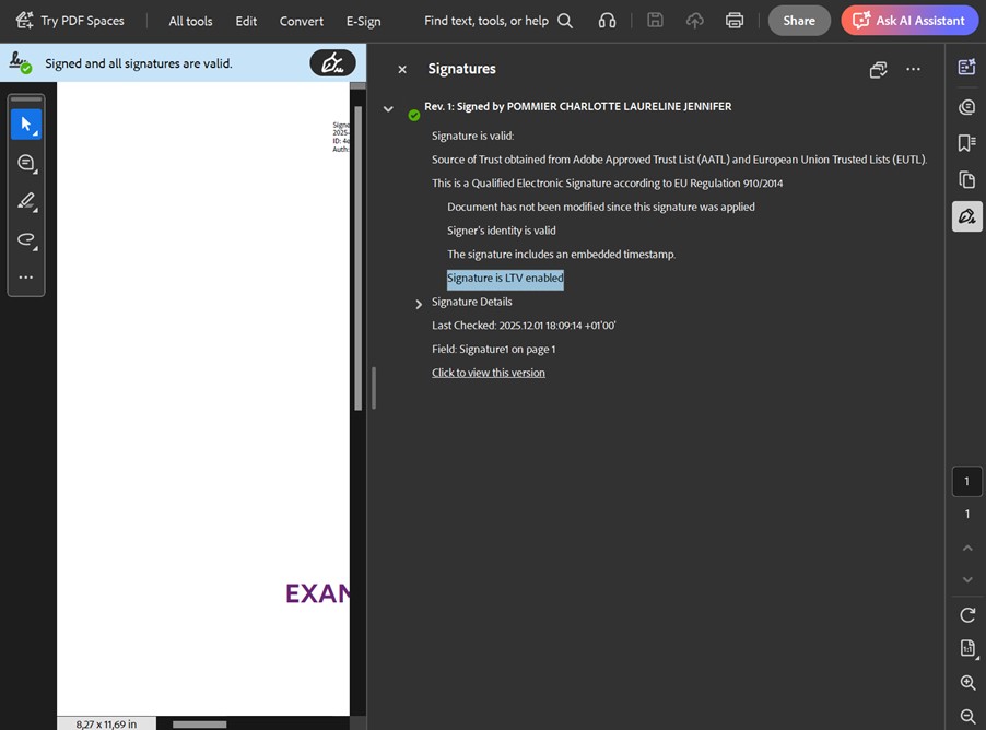 Example PDF