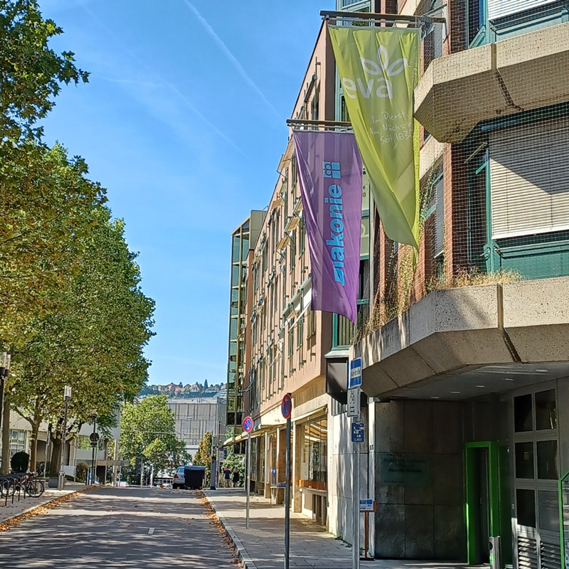 City street lined with trees, with colorful flags hanging from a modern building on a sunny day