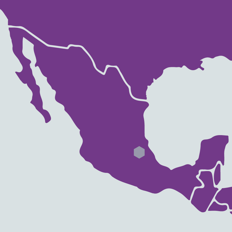 Map of Mexico highlighted in purple